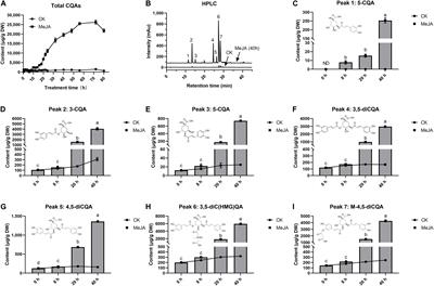 Enhanced Biosynthesis of Chlorogenic Acid and Its Derivatives in Methyl-Jasmonate-Treated Gardenia jasminoides Cells: A Study on Metabolic and Transcriptional Responses of Cells